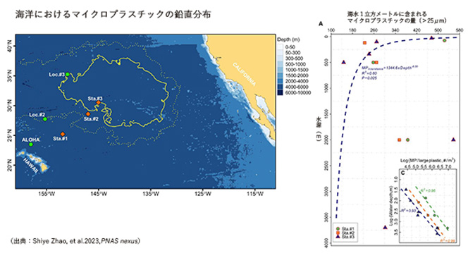 図２：（左）北太平洋ゴミベルトと採取点。（右）マイクロプラスチックの垂直分布。縦軸は水深、横軸は海水１立方メートルあたりに含まれるマイクロプラスチックの数。水深2000メートルのところで、マイクロプラスチックの検出量が増えていることがわかる（Shiye Zhao, et al., 2023, PNAS nexus を元に作成）